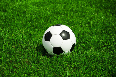 雷速体育公司团队与技术实力展示