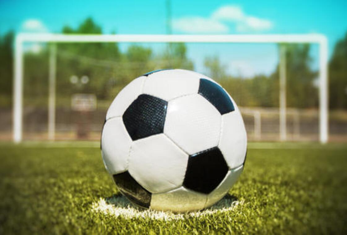 体育从业者使用雷速体育进行行业研究